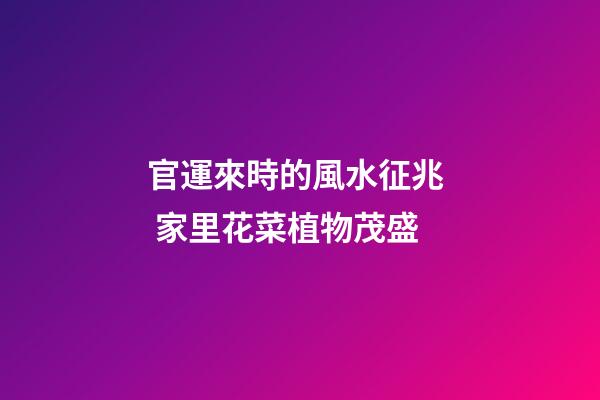 官運來時的風水征兆  家里花菜植物茂盛